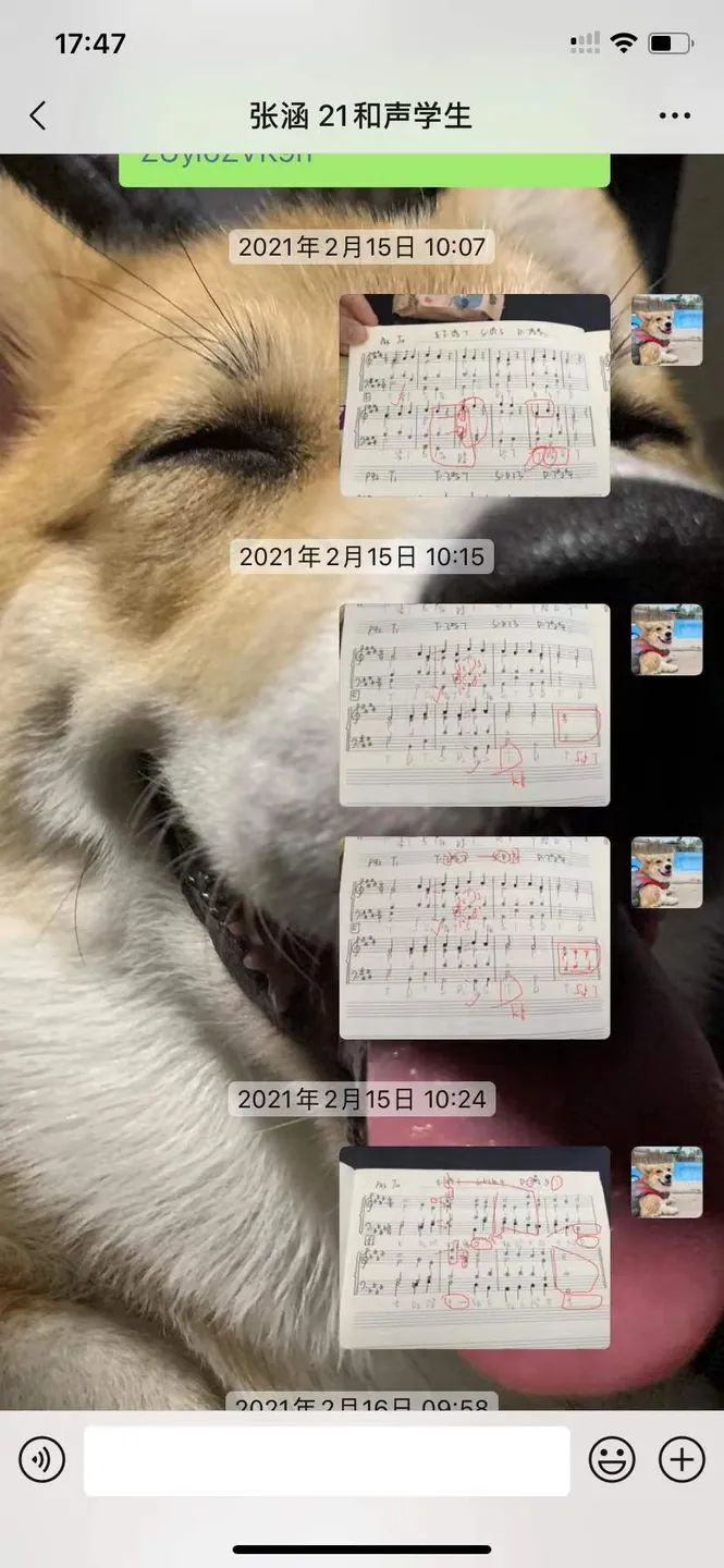 学生考进西音录音艺术专业,指导记录聊天