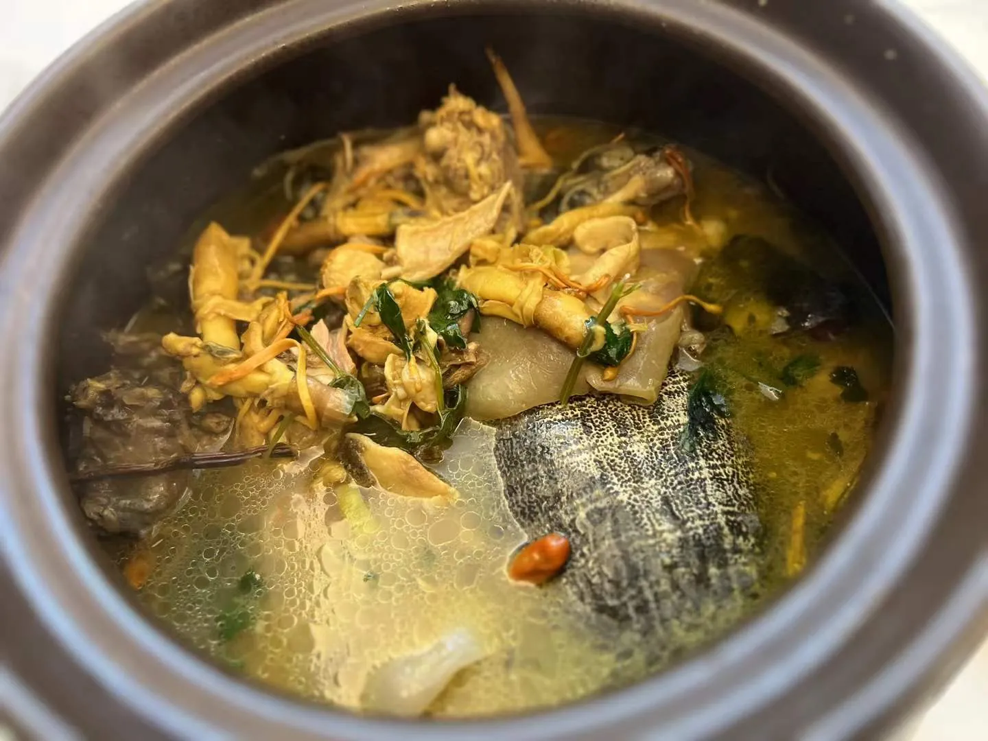 烹饪:甲鱼鳄鱼汤